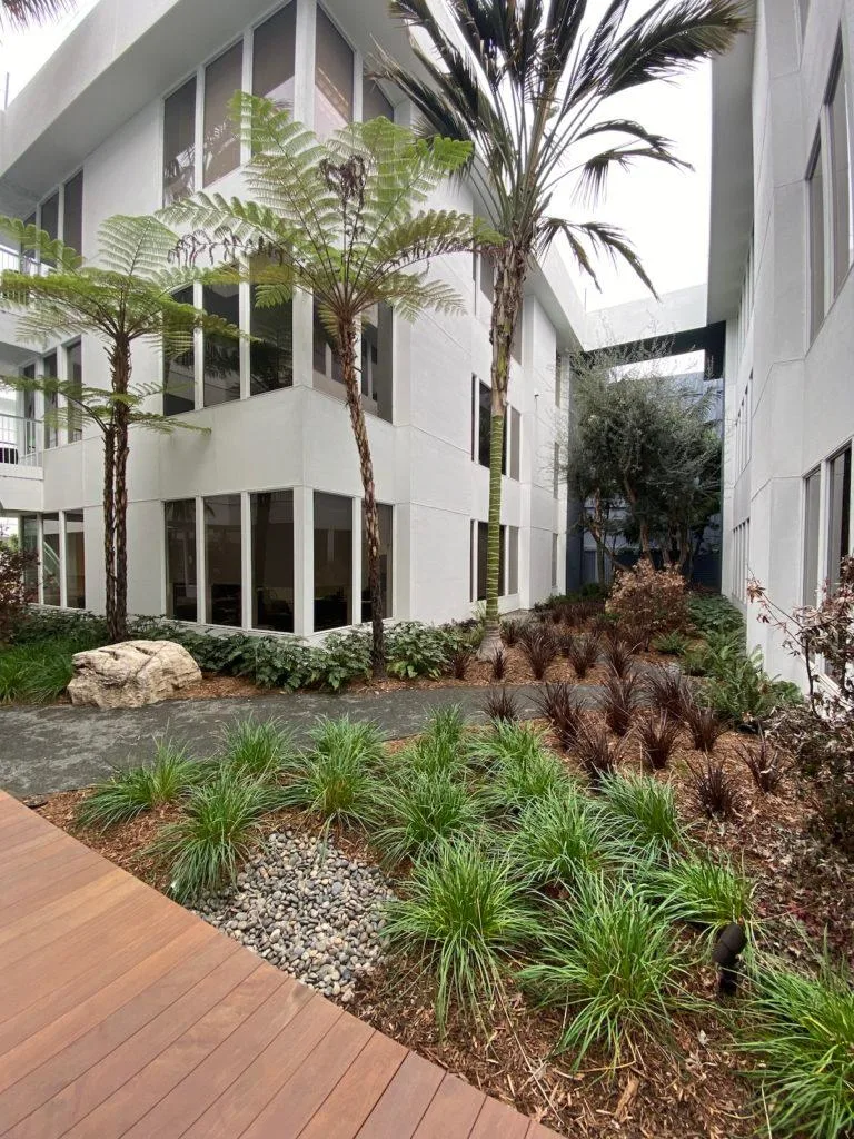 Clearview Outpatient - Los Angeles - Photo 5