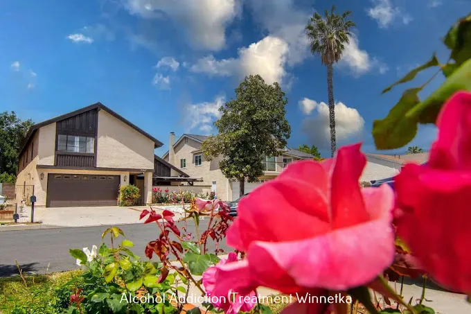 Maple Moon Recovery - Photo 1