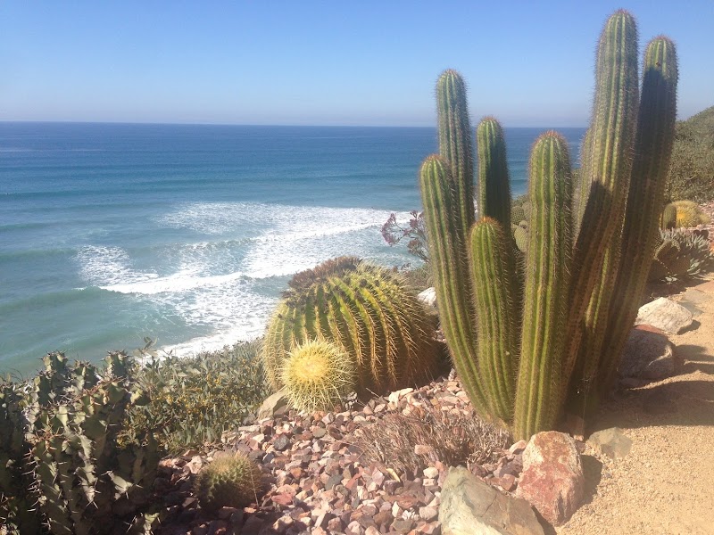 Villa Kali Ma - Photo 2