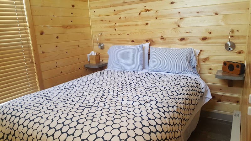 Sierra Meadows - Photo 2