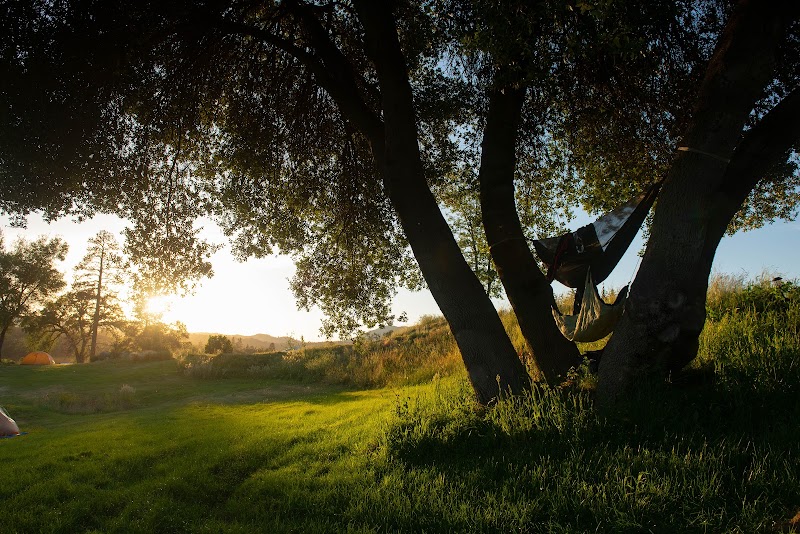 Sierra Meadows - Photo 4