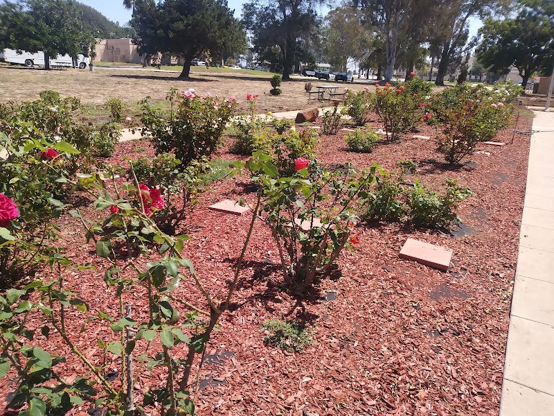 New Directions For Veterans - Photo 3