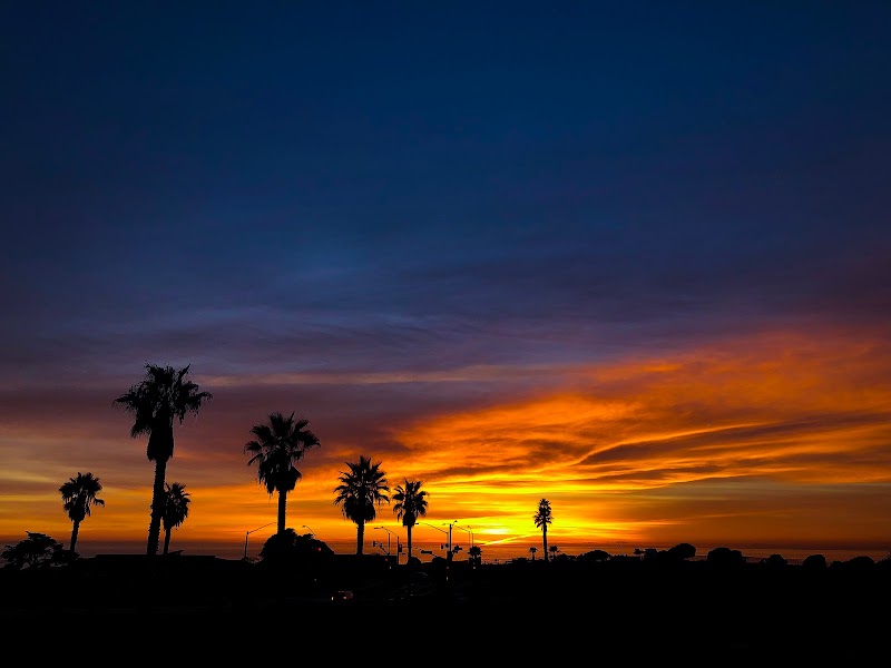 Bold Recovery - Photo 1