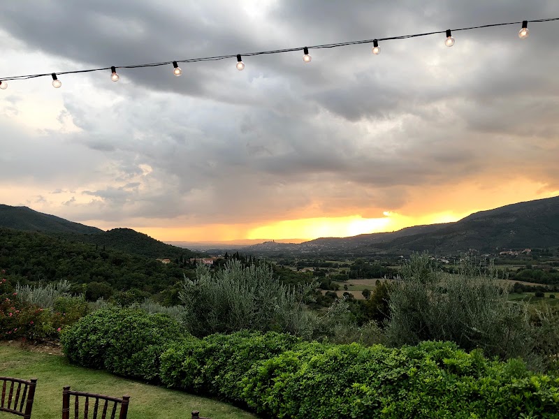 Bold Recovery - Photo 3