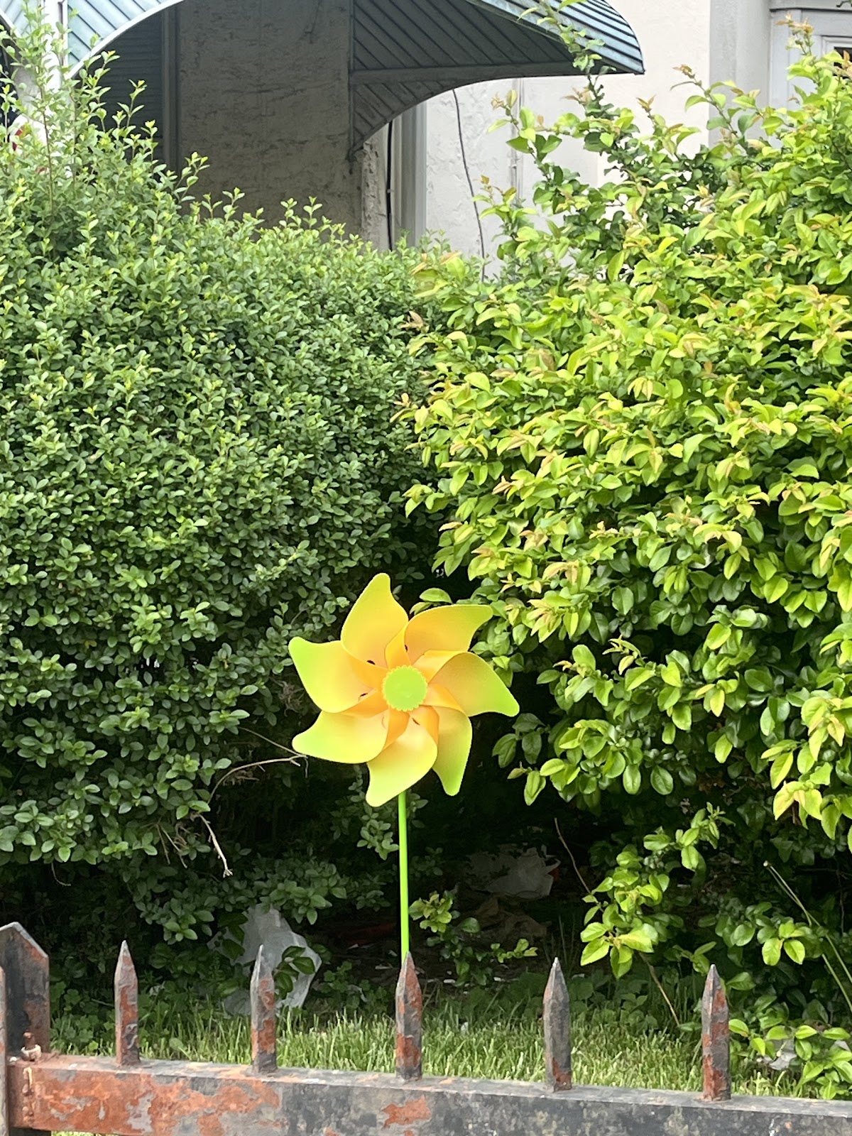 New Path Recovery Center Inc - Photo 2