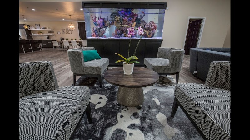 Diamond House Detox And Recovery - Photo 1