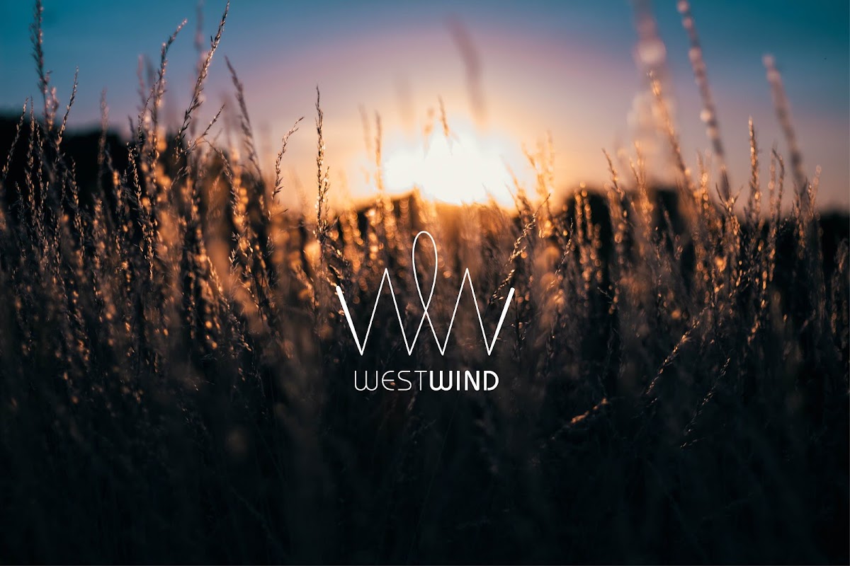 Westwind Recovery - 照片 6