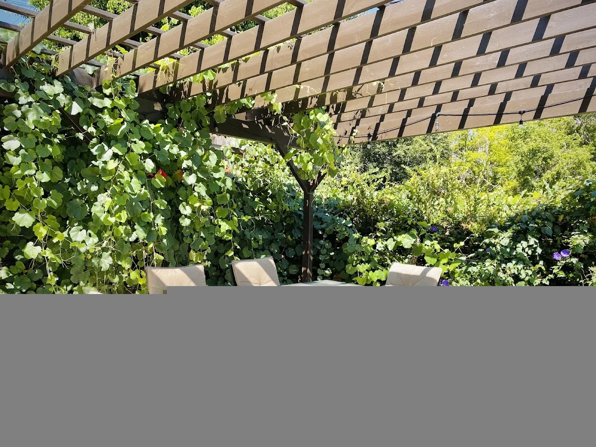 Conquer Recovery Centers - Photo 3